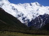 NZ00320.JPG